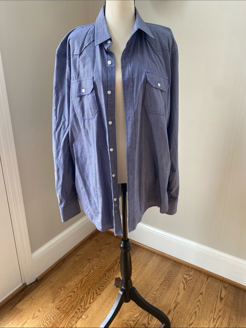 American Rag size large blue white stripe button down Oxford train shirt ferrier
